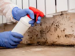 Why You Should Choose Our Mold Remediation Services in Linden, NJ